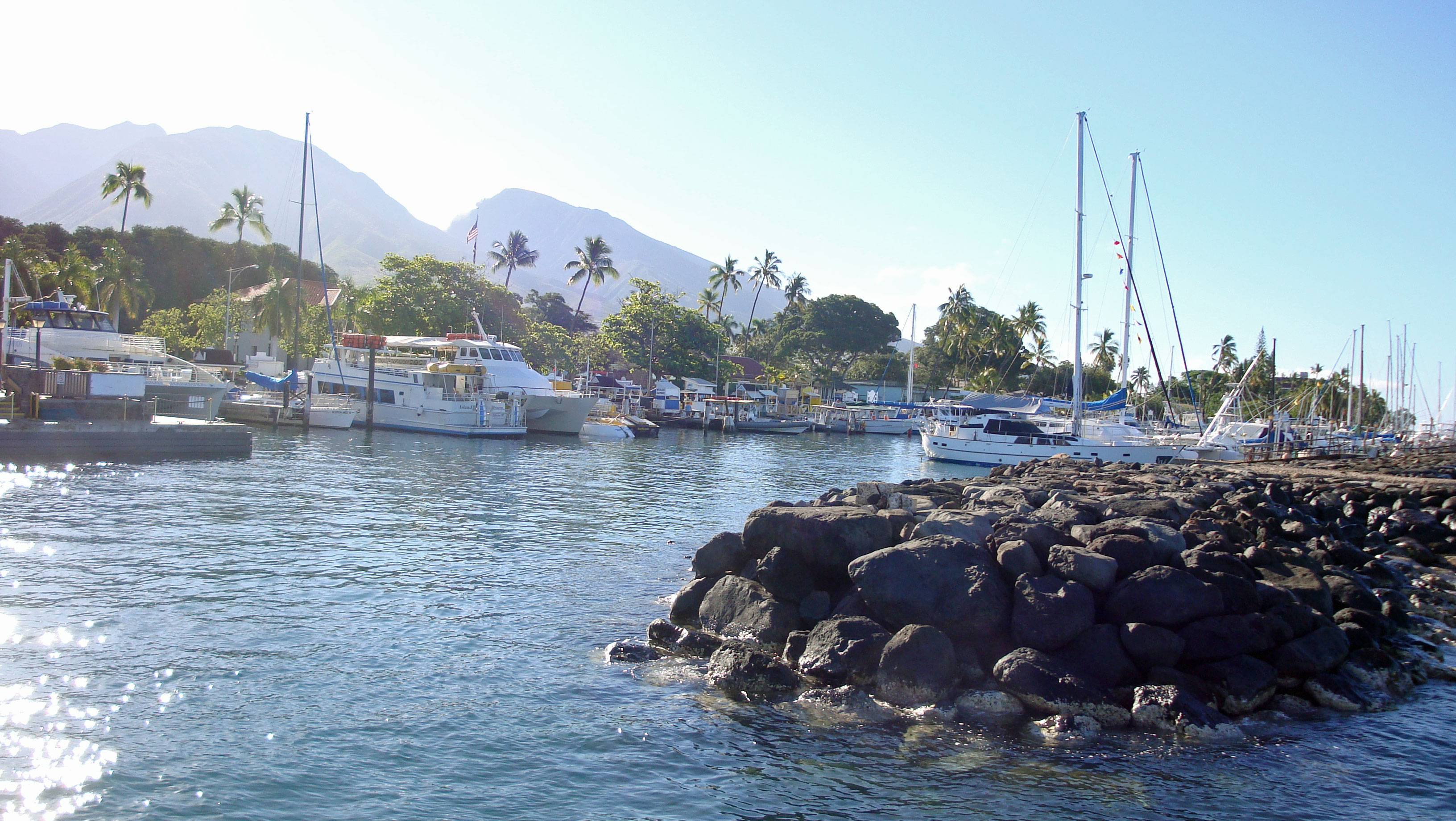 Meet Maui, Hawaii, USA - judimeetsworld